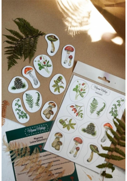 Magnesy Leśne botaniczne