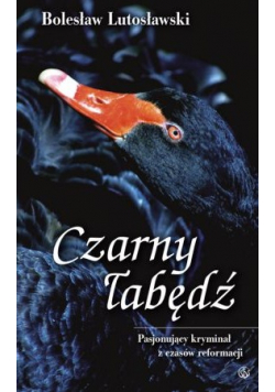 Czarny łabędź