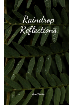 Raindrop Reflections