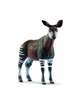 Okapi leśne