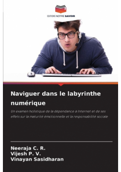 Naviguer dans le labyrinthe numérique