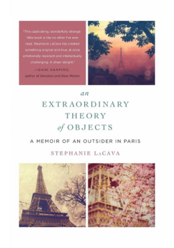 Extraordinary Theory of Objects, An