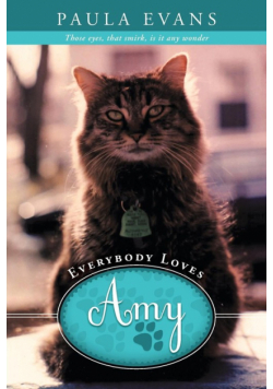 Everybody Loves Amy
