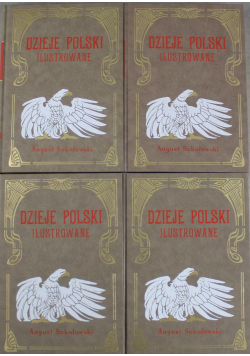Dzieje Polski Ilustrowane Tom I  VI  Reprint 1904 roku