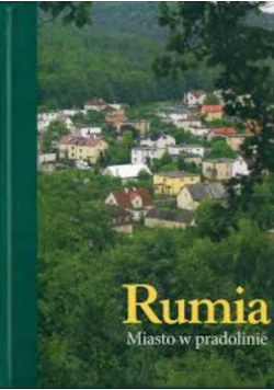 Rumia Miasto w pradolinie