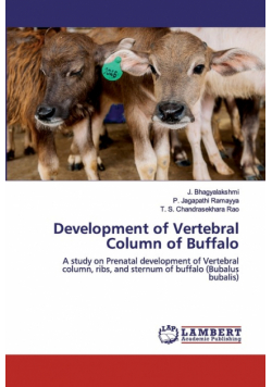 Development of Vertebral Column of Buffalo