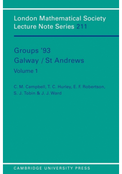 Groups '93 Galway/St Andrews