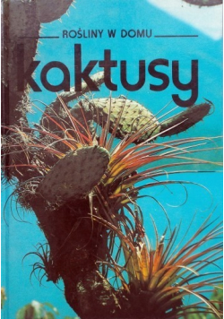 Kaktusy