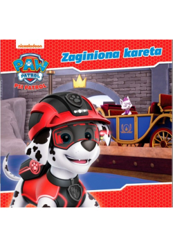 Zaginiona kareta. Psi Patrol. Story