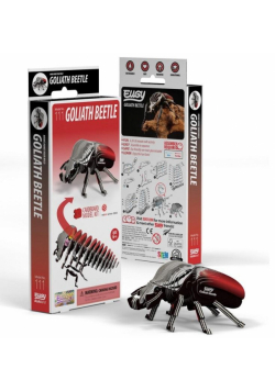 Chrząszcz Goliat Eugy. Eko Układanka 3D