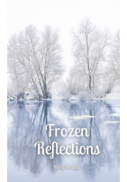 Frozen Reflections