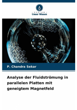 Analyse der Fluidströmung in parallelen Platten mit geneigtem Magnetfeld