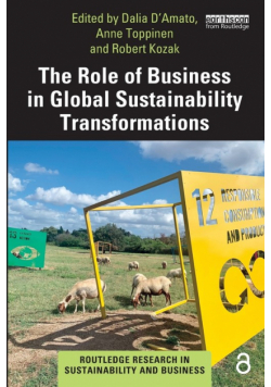 The Role of Business in Global Sustainability Transformations