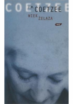 Wiek żelaza