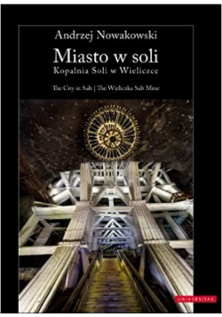 Miasto w soli