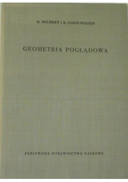 Geometria poglądowa