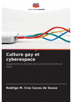 Culture gay et cyberespace