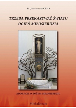 Trzeba przekazywać światu ogień miłosierdzia