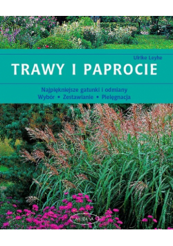 Trawy i paprocie