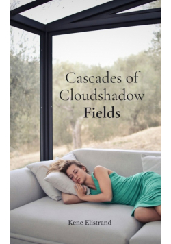 Cascades of Cloudshadow Fields