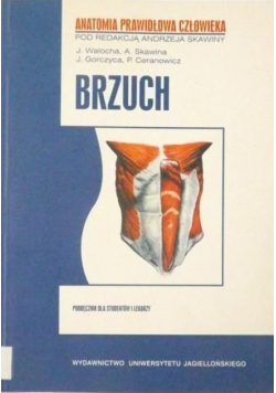 Brzuch