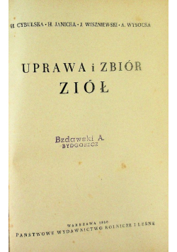 Uprawa i zbiór ziół