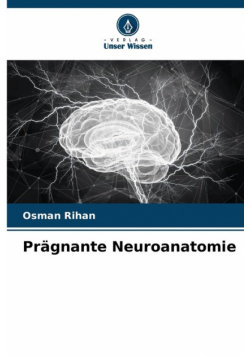 Prägnante Neuroanatomie