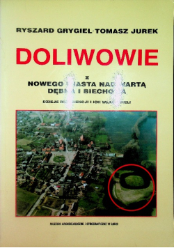 Doliwowie z Nowego Miasta nad Wartą, Dębna i Biechowa