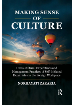 Making Sense of Culture