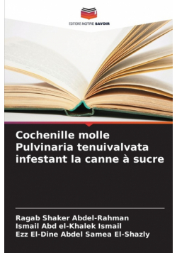 Cochenille molle Pulvinaria tenuivalvata infestant la canne à sucre