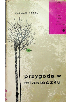 Przygoda w miasteczku