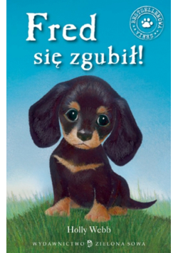 Fred się zgubił