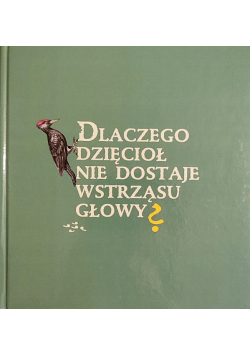 Dlaczego Dzięcioł Nie Dostaje Wstrząsu Głowy