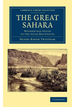 The Great Sahara