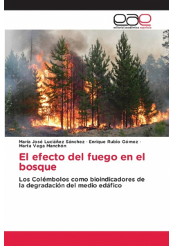El efecto del fuego en el bosque