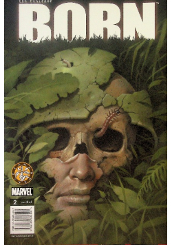 The Punisher Born Nr 2 / 04