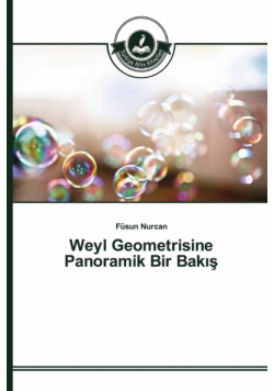 Weyl Geometrisine Panoramik Bir Bakış