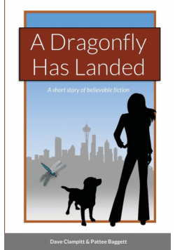 A Dragonfly Has Landed