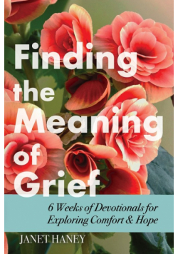 Finding the Meaning of Grief