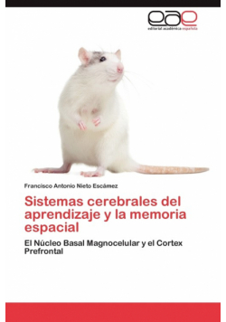 Sistemas Cerebrales del Aprendizaje y La Memoria Espacial