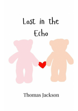 Lost in the Echo
