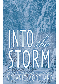 Into The Storm