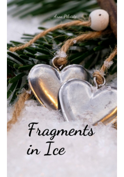 Fragments in Ice