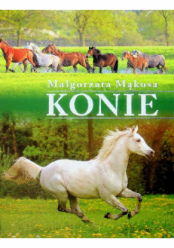 Konie