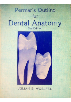 An outline for dental anatomy