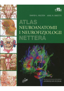 Atlas neuroanatomii i neurofizjologii Nettera