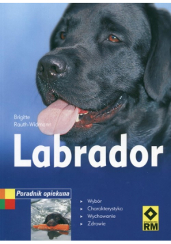Labrador Poradnik opiekuna