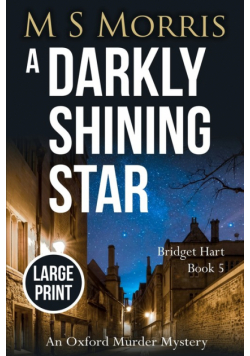 A Darkly Shining Star (Large Print)