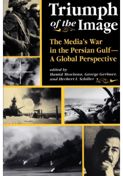 Triumph Of The Image