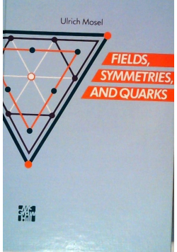 Fields Symmetries and Quarks